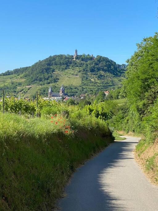 Acapella Suite Adagio 54Qm, Direkt Am Weinberg, Altstadt, Netflix Inklusive Heppenheim  Esterno foto