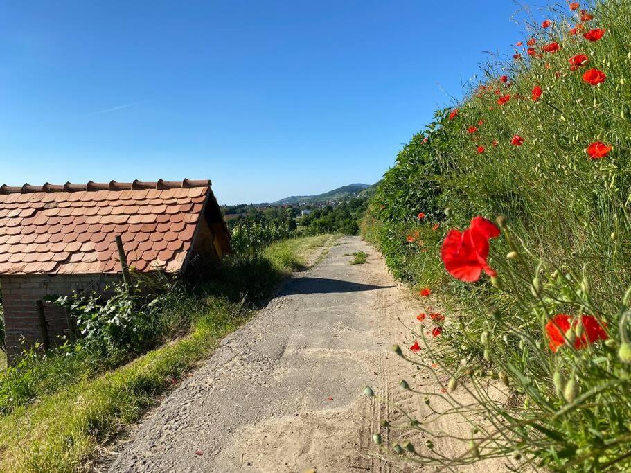 Acapella Suite Adagio 54Qm, Direkt Am Weinberg, Altstadt, Netflix Inklusive Heppenheim  Esterno foto