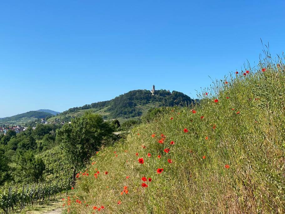 Acapella Suite Adagio 54Qm, Direkt Am Weinberg, Altstadt, Netflix Inklusive Heppenheim  Esterno foto